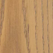 Roasted Cashew stain